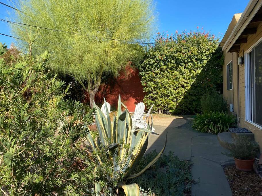 Charming Duplex With Private Backyard Villa Los Angeles Exterior photo